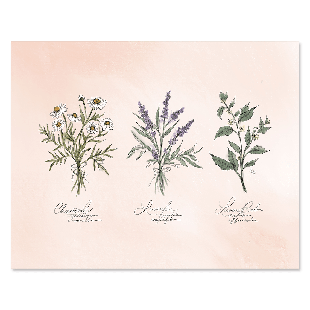Calming Herbs - Print - Lily & Val