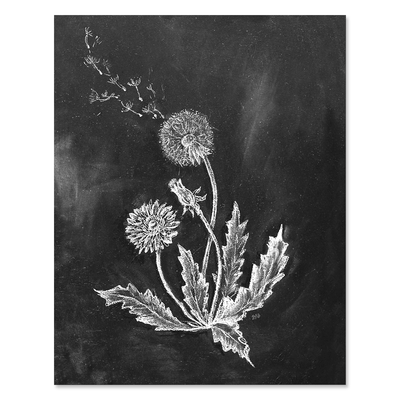 Dandelions - Print - Lily & Val