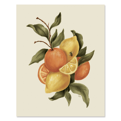 Citrus in Isolation - Print - Lily & Val