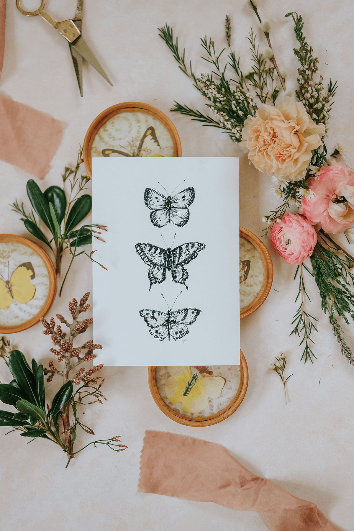 Butterfly Trio - Print - Lily & Val