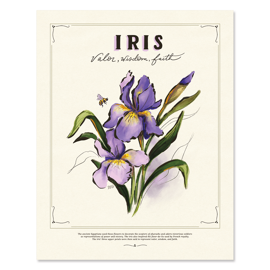 Iris - Print - Lily & Val