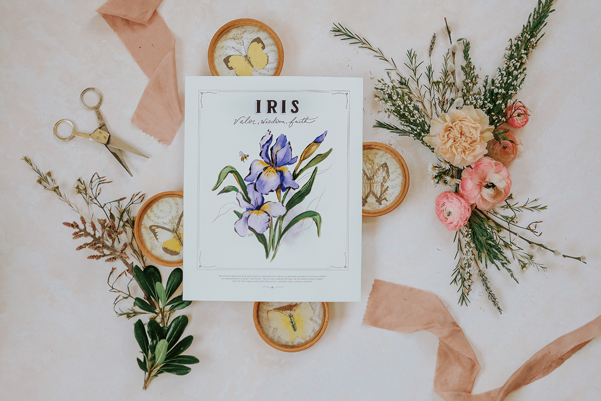 Iris - Print - Lily & Val