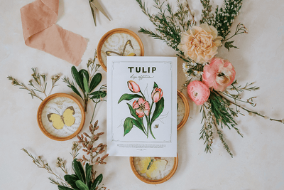 Tulip - Print - Lily & Val