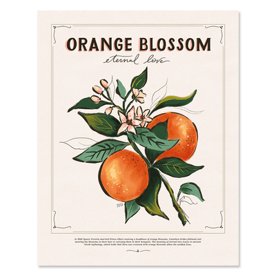 Orange Blossom - Print - Lily & Val