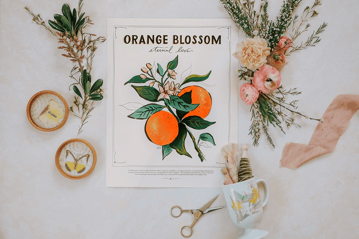 Orange Blossom - Print - Wall Art - Spring Art - Spring Flowers