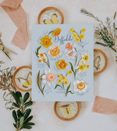 Daffodils - Print - Lily & Val