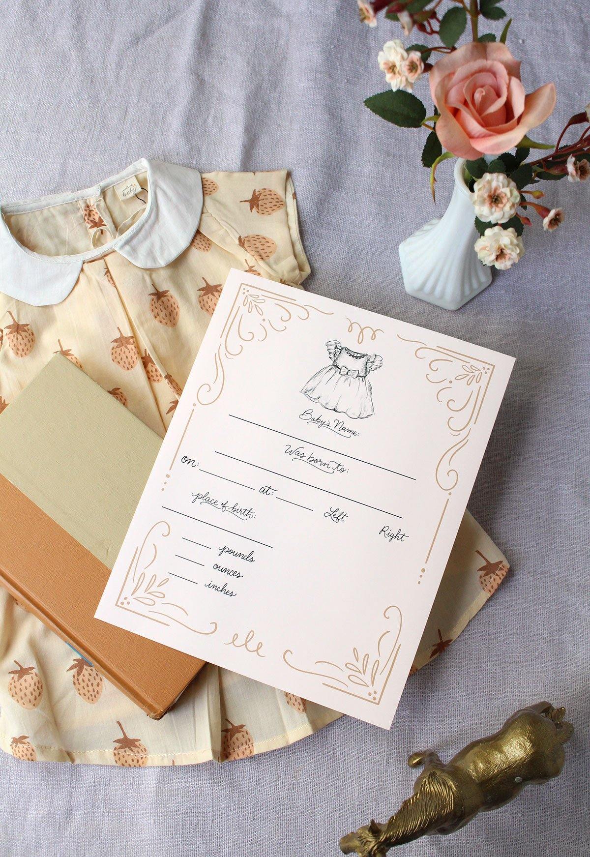 Fill In The Blank Baby Birth Stats Print - Girl - Lily & Val