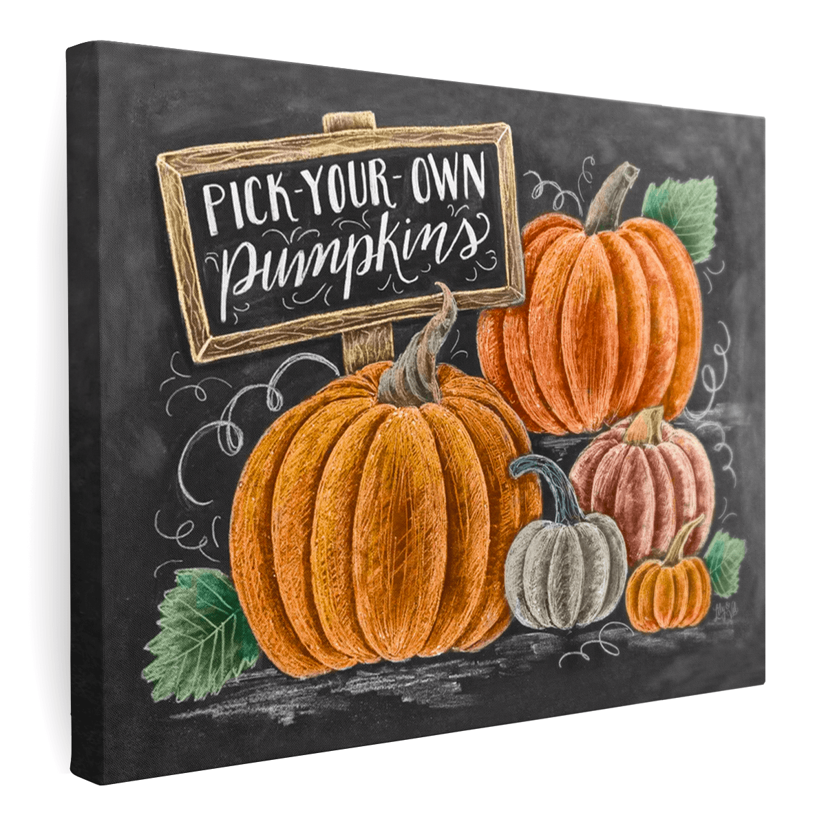 Pick-Your-Own Pumpkins