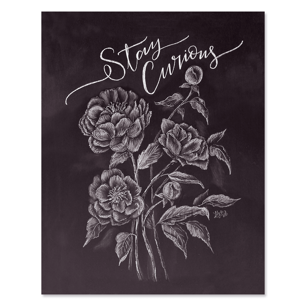 Stay Curious - Print - Lily & Val