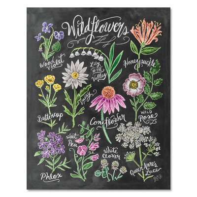 Wildflower Field Guide - Print