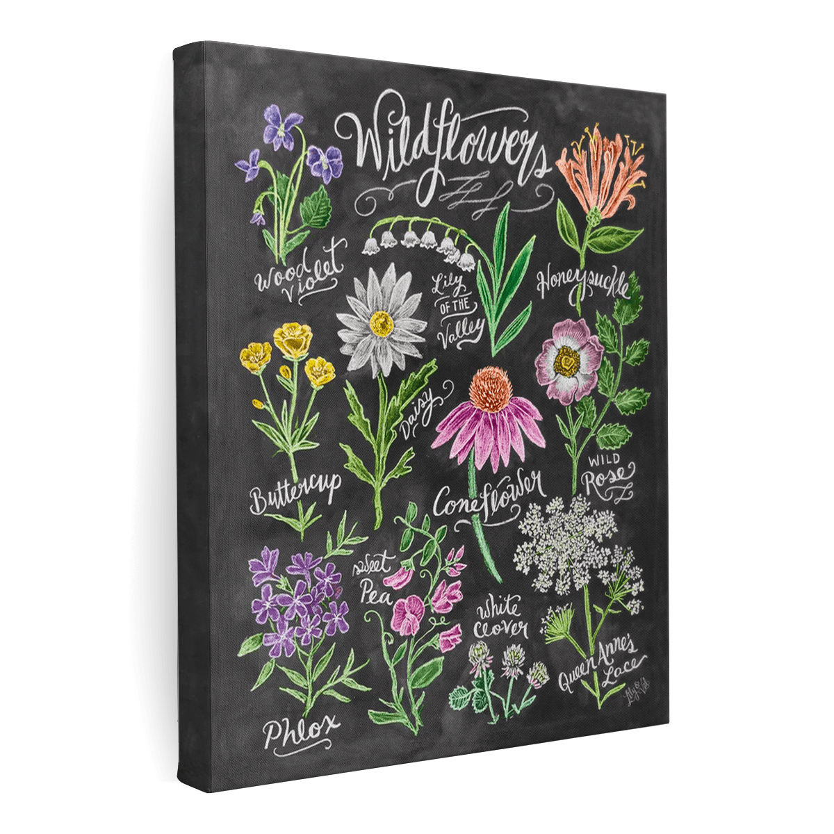 Wildflower Field Guide